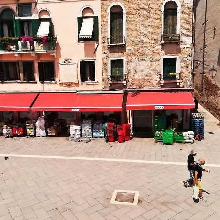 Mario 1338